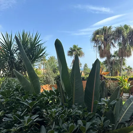 Aparthotel Costa Galera Con Piscinas Jardin Y Un Bano Cercano A La Playa Estepona