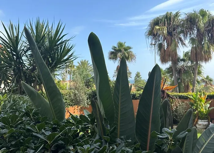 Apartahotel Costa Galera Con Piscinas Jardín Y Un Baño Cercano A La Playa Estepona